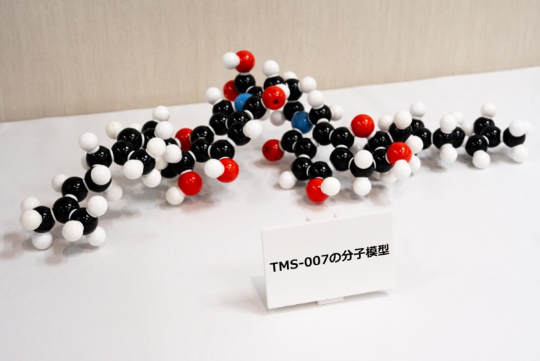 TMS-007の分子模型